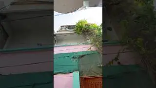 80 SQYARD HOUSE IN LOW PRICE | REALTOR SOLUTION | WATCH FULL VIDEO