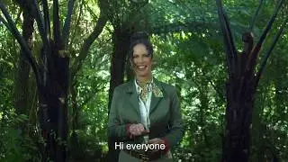 How Mamaku black fern works