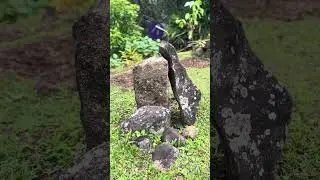 Welcome to the Rock Garden - Vall&eacute; Advenature Park, Mauritius #mauritius #mauritiusisland #nature