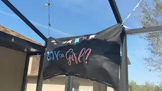 Pop Fizz Designs   Gender Reveal Balloon Drop Bag