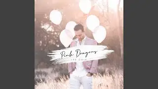Pink Dragons