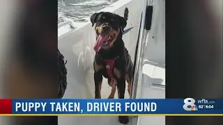 Lyft driver found at center of missing puppy case