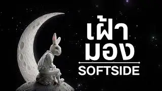 เฝ้ามอง|Softside|เพลงฟังสบาย