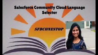 Salesforce Community Cloud   Language Selector