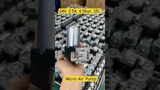 24V Air Pump CE Brush Motor 35L/min Mini Compressor