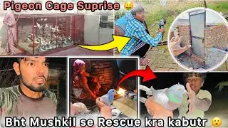 Raat ko Rescue Kiya Kabutar 😳 || Chath pr Pigeon Cage Lgane lge 😍 || Kabootar New Loft 🤑