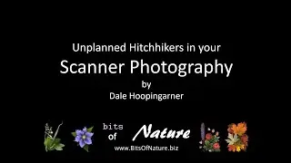 Scanography Hitchhikers  - They'll show up when you least expect them!