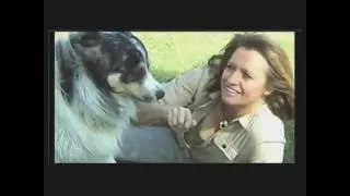 Training Spencer/ REWARD FOR RETURN OF MOVIE DOG & MY BEST FRIEND... SPENCER