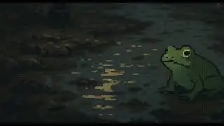 Rainy Night and a frog