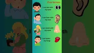 What are the 5 Senses | Five sense organs| Five Senses with examples