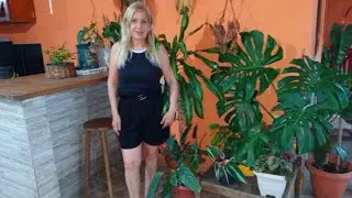 C&oacute;mo  cuid&oacute;  de mis plantas qu&eacute;  son follajes 