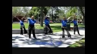 Shimmy Mob mashup 2012