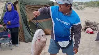 family camping and fishing at Lucky bay part 2
