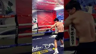 BEAR SORIANO STAYING SHARP #shorts #short #viral #boxing #shortvideo #shortsfeed #boxing #bear #box