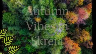 Skreia/ &Oslash;stre-toten i H&oslash;stfarger