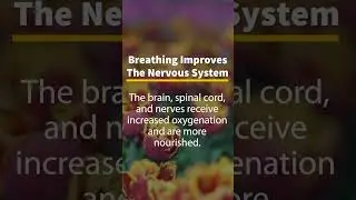 18 Benefits of Deep Breathing, Pt. 12 | Success Thoughts