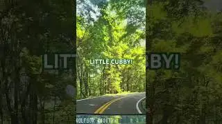 Trying to take a nice leisurely drive down TN-32, then BOOM! Scared the bejeezus out of me!