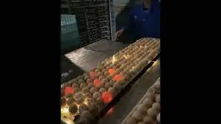 eggs testing machine #new #technique