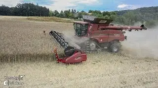 Žně 2018 | XL harvest 2018 | New Case Ih Axial Flow 7240, 4x case, Steyr, John Deere, WTC, Bednar