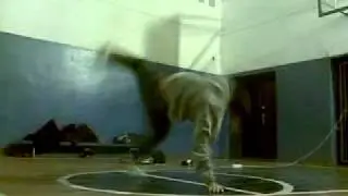16022011002