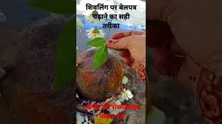 शिवलिंग पर बेलपत्र चढ़ाने का सही तरीका प्रदीप मिश्रा जी #shorts #viral
