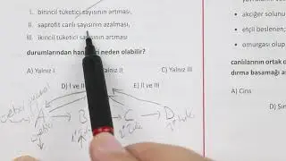 ÖZDEBİR Son Prova TYT Deneme Sınavı Biyoloji Çözümleri(2128)