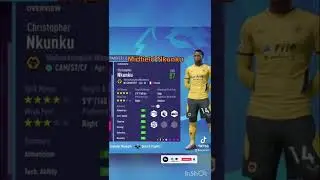 Wolves Team in 2034 FIFA22 career mode
