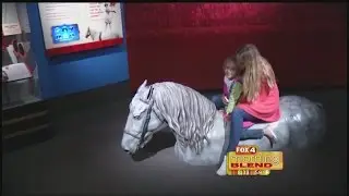 Ringling Museum / circus week