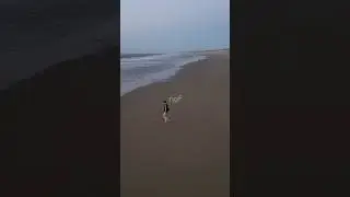 Scheveningen beach drone view