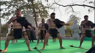 Mavori thega adivasi dance in #medaram new zealand tribals #Medaram #sammakkasaralamma #shortsviral