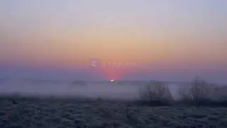 তোকে চাইছে রাত জাগা ভোর  by Debsankar Mukhopadhyay