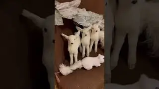 Decoraci&oacute;n Navide&ntilde;a de Bosque Nevado