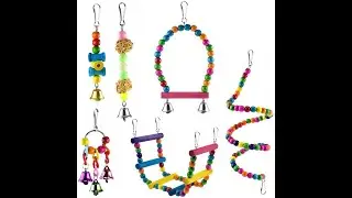 6 Pcs Toys for Bird Parrot in store lofty stylish design