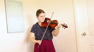 Drops of Brandy - Irish fiddle cover