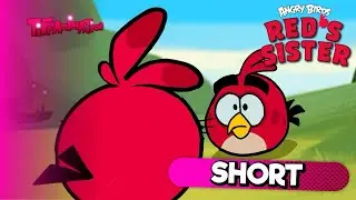 Angry Birds: Сестра Рэда (2024) | Tiffanimation
