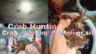 Crab catching Crab Hunting | Ai Meiser sit, North East India Hmar style 🇮🇳