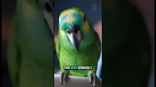 officer is in a video conference, and the parrot reveals what he is wearing 😂 | Fun Dose #funny