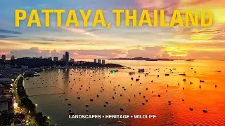 UNSEEN PATTAYA, THAILAND | Beyond the Shores | Travel + Culture Documentary 4K