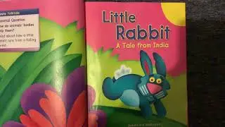 Little Rabbit