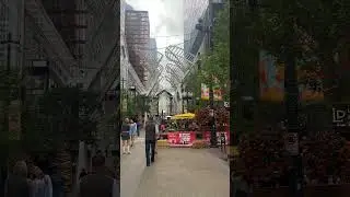 Calgary 1st Street Amazing Party View