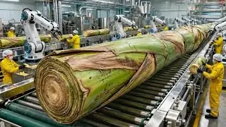 Inside the Largest High-Tech Banana Stem Factory You&rsquo;ve Never Seen Before (Full Process)