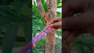 One Person Can Pull Ten Cows with This Simple Power System!! ##sketch,#strongknot#skills