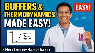 Henderson&ndash;Hasselbalch Equation & Buffers | Buffer Capacity + Thermodynamics Made Easy