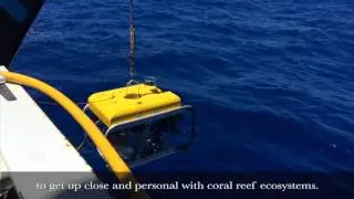 ScienceAtSea: Launching the Remotely Operated Vehicle