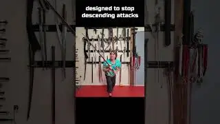 CRAZY Sword Trick to Stop getting bonked! Kron #sword #martialarts #funny