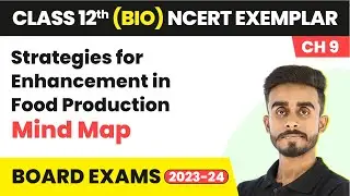 Strategies for Enhancement in Food Production - Mind Map | Class 12 Biology NCERT Exemplar Ch 9