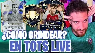 HOW TO GRINDEAR: TOTS LIVE in EAFC 24 | HOW TO FARM SBC | HOW TO CRAFT FIFA 24