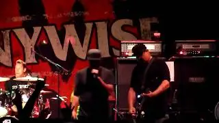 Pennywise Circle Jerks - Wild In The Streets