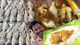 பேச்சுலர் ஊடக மீன் குழம்பு- பேச்சிலர்ஸ்க்கு இனி கவலை இல்லை 🤗| Bachelor Fish Curry