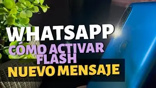 WhatsApp | Activa el FLASH cuando recibas un mensaje 😱😱😱